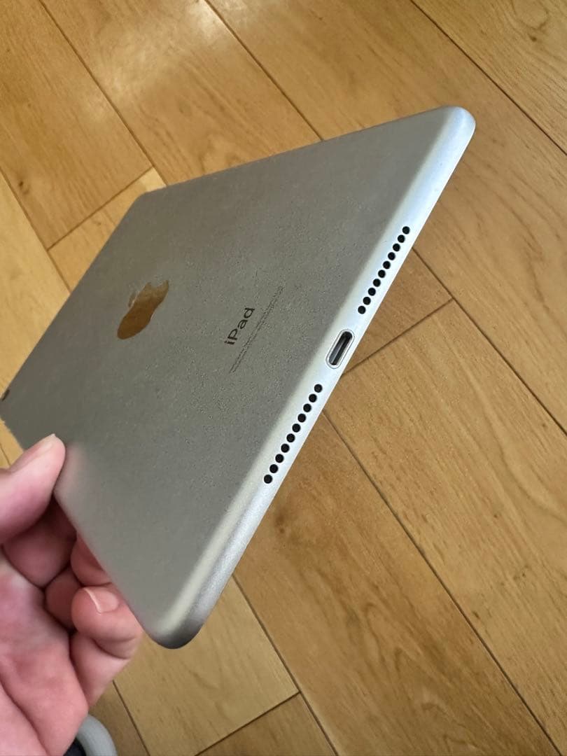 iPad mini 5 256G 残量97%