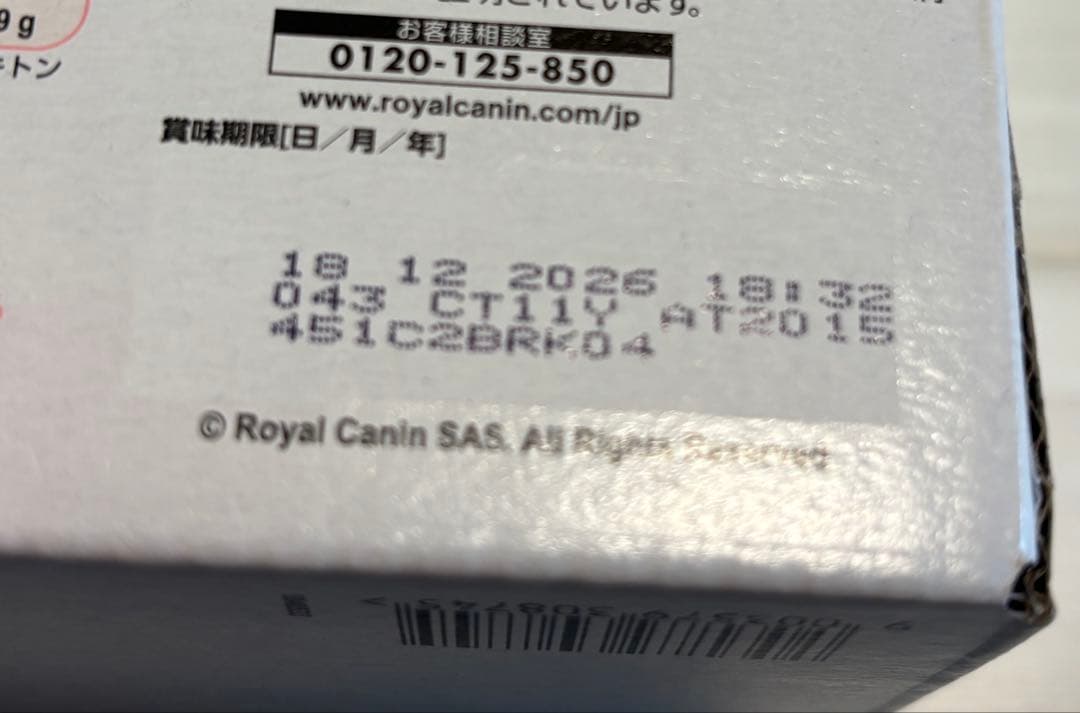 ロイヤルカナン キトン 400g 成長後期の子猫用×4袋&ウェット85g×12袋