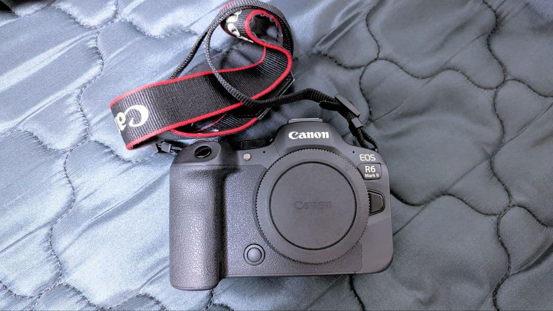 【美品】Canon EOS R6 Mark II 本体と付属品 キャノン カメラ
