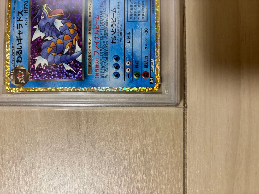 PSA10わるいギャラドス プロモカードパック 25th ANNIVERSARY
